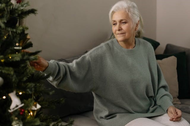 Personne âgée recherche de la compagnie pour les fêtes de fin d'année.